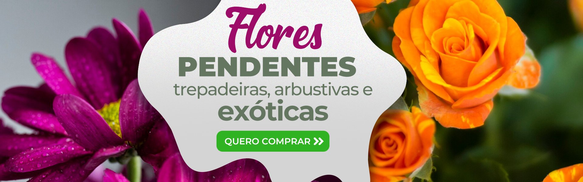 banner sitio principal flores